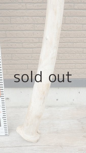 画像6: 幹流木・長尺 (6)