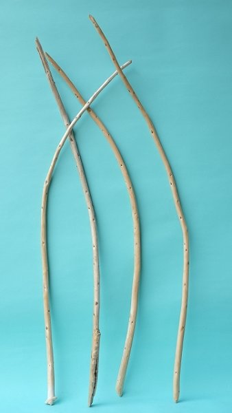 画像1: 棒流木セット (1)