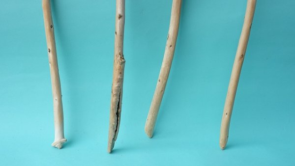 画像2: 棒流木セット (2)