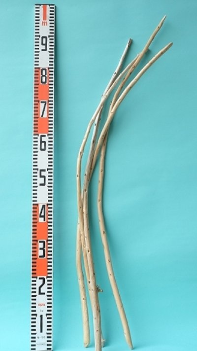 画像3: 棒流木セット