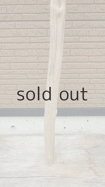 画像2: 幹流木・長尺 (2)