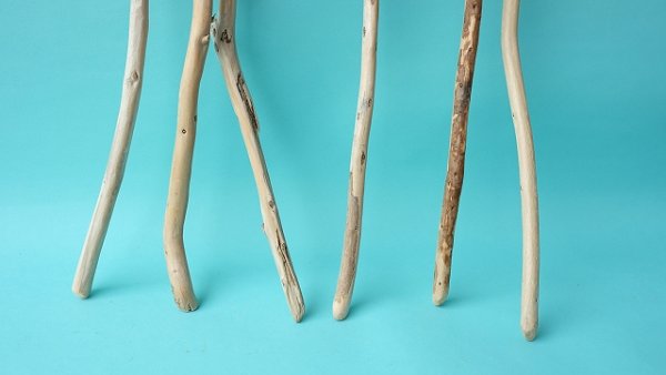 画像2: 棒流木セット (2)