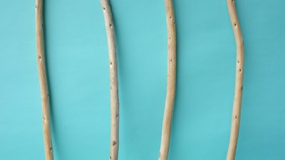 画像1: 棒流木セット