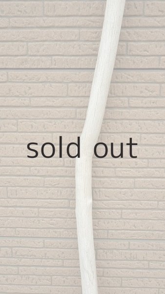 画像4: 幹流木・長尺 (4)