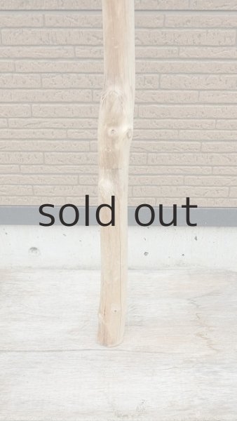 画像7: 幹流木・長尺 (7)