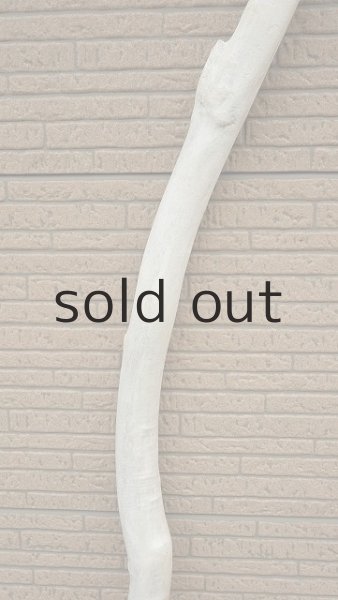 画像4: 幹流木 (4)