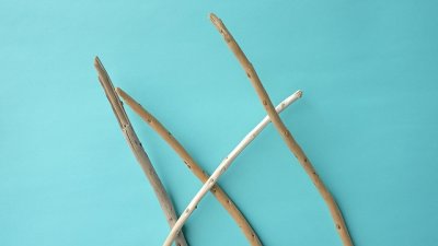 画像2: 棒流木セット