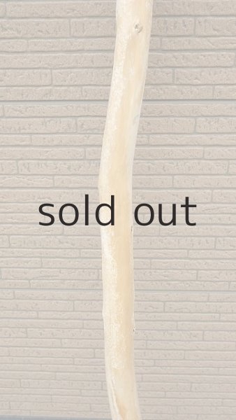 画像3: 幹流木・長尺 (3)