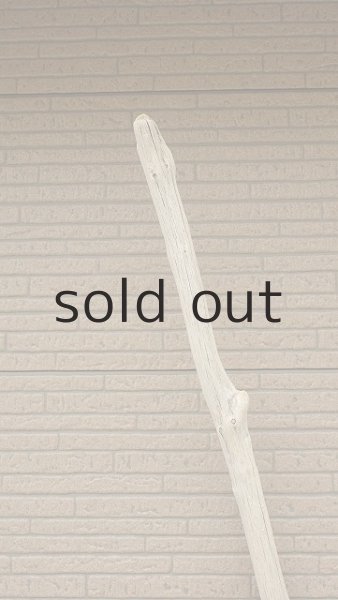 画像5: 幹流木・長尺 (5)