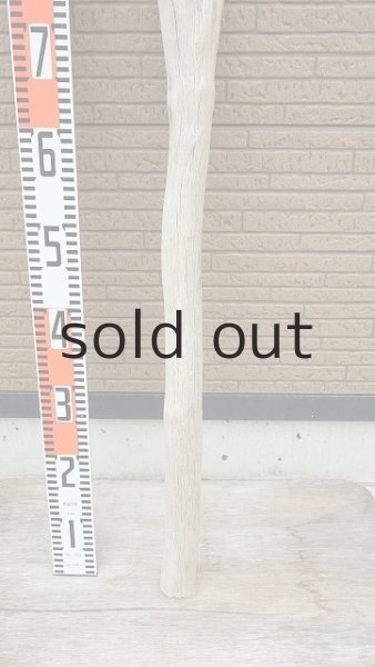 画像6: 幹流木・長尺 (6)