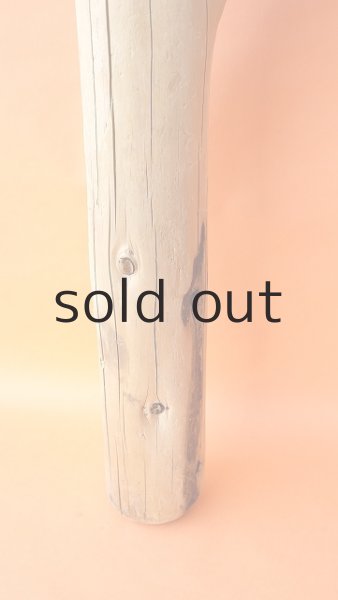 画像2: 幹流木・丸太 (2)