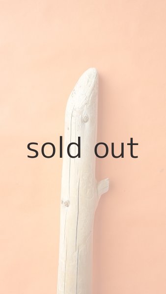 画像5: 幹流木・丸太 (5)