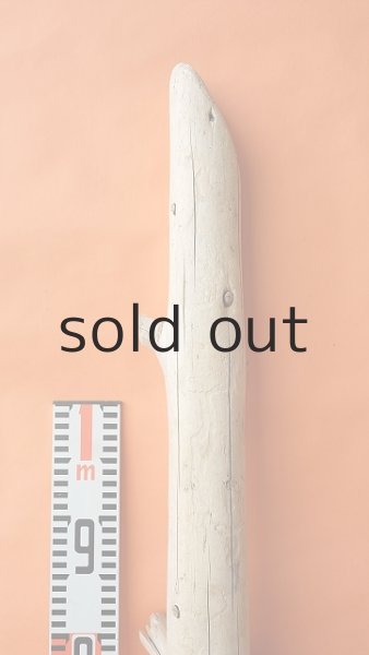 画像6: 幹流木・丸太 (6)