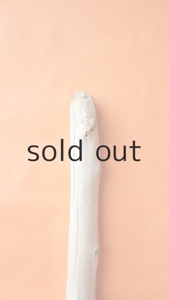 画像5: 幹流木 (5)