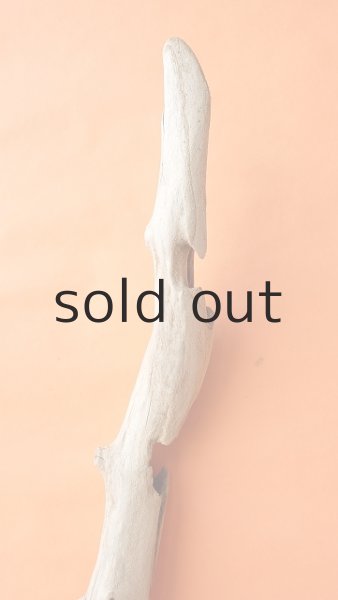 画像6: 幹流木 (6)