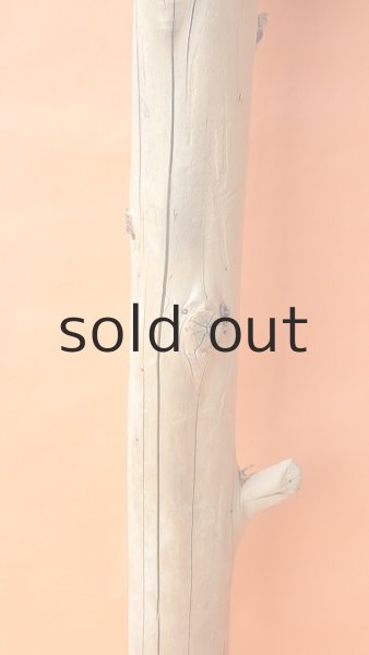 画像3: 幹流木・丸太 (3)