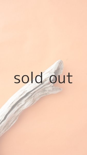 画像4: 幹流木 (4)