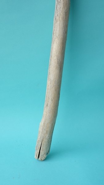 画像2: 小枝流木 (2)