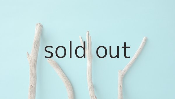 画像4: 小枝流木セット (4)