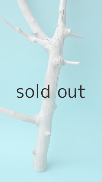 画像2: 小枝流木 (2)