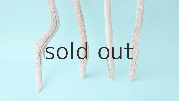 画像2: 小枝流木セット (2)