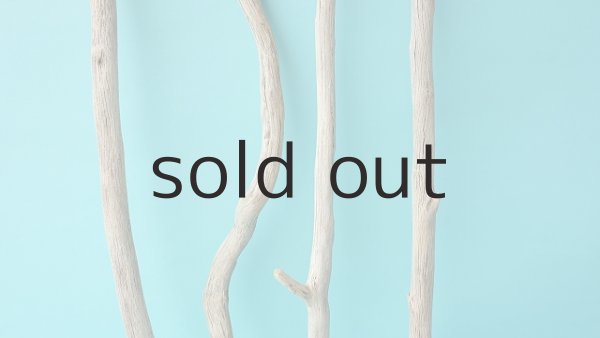 画像3: 小枝流木セット (3)