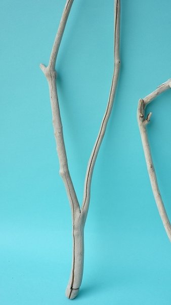 画像2: 小枝流木セット (2)