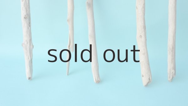 画像2: 小枝流木セット (2)