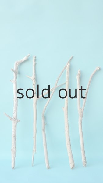 画像1: 小枝流木セット (1)