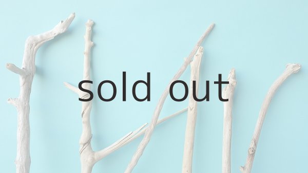 画像4: 小枝流木セット (4)