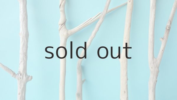 画像3: 小枝流木セット (3)