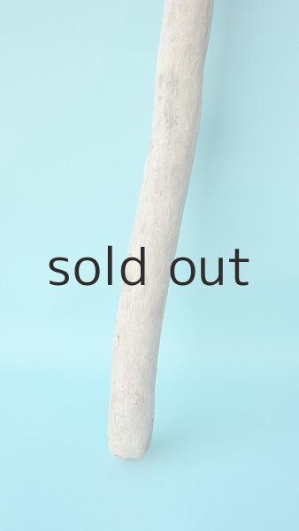 画像2: 小枝流木 (2)