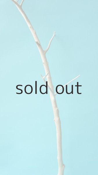 画像3: 枝流木 (3)