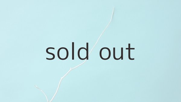 画像5: 枝流木 (5)