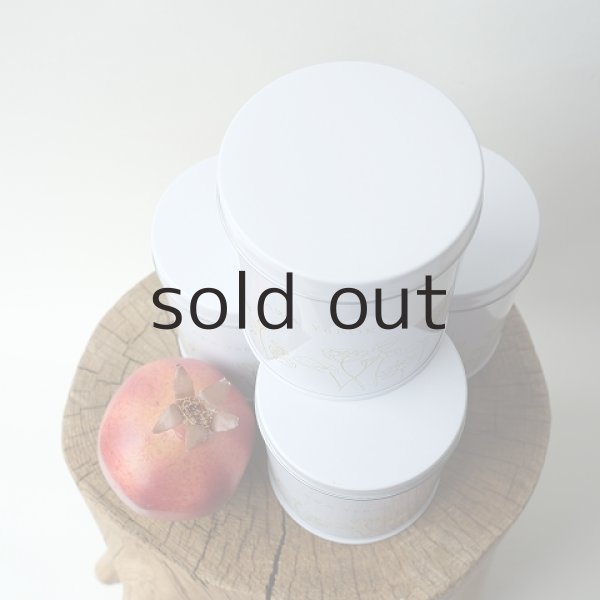 画像7: プラントハンガー・オリジナルスチール丸缶（穴開きタイプ）＋多肉植物・乙女心 (7)