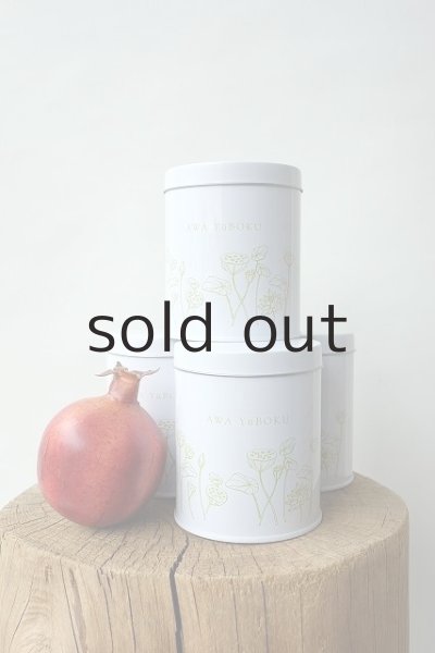 画像5: プラントハンガー・オリジナルスチール丸缶（穴開きタイプ）＋多肉植物・乙女心 (5)