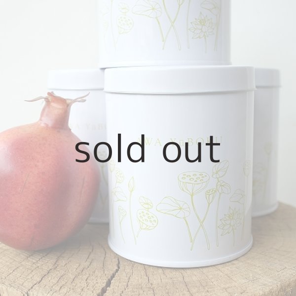 画像8: プラントハンガー・オリジナルスチール丸缶（穴開きタイプ）＋多肉植物・乙女心 (8)