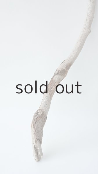 画像2: 枝流木 (2)