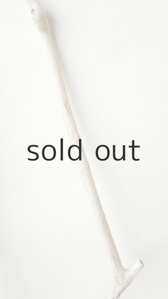 画像5: 枝流木 (5)