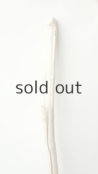 画像4: 枝流木 (4)