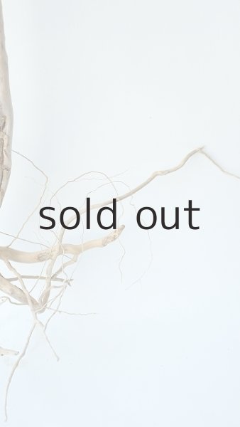 画像3: 枝流木 (3)