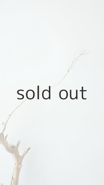 画像7: 枝流木 (7)