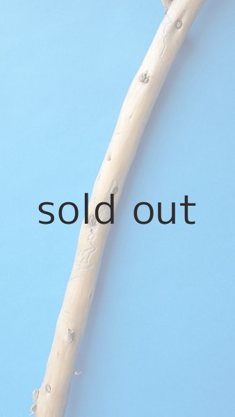 画像4: 棒流木・長尺 (4)