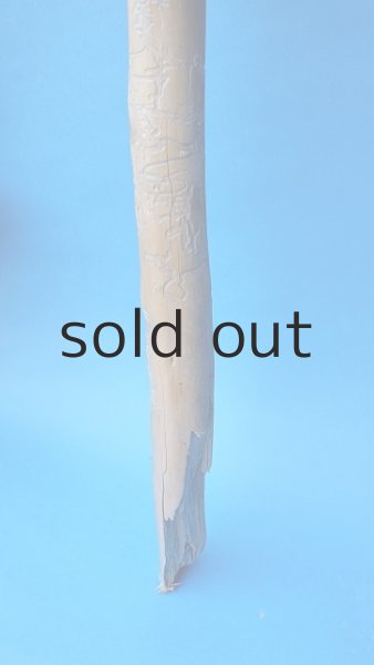 画像2: 棒流木・長尺 (2)