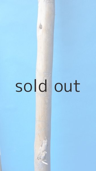 画像3: 棒流木・長尺 (3)