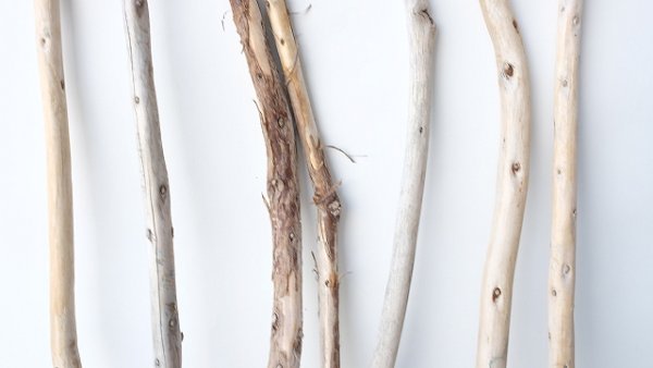 画像3: 棒流木セット（カット流木） (3)