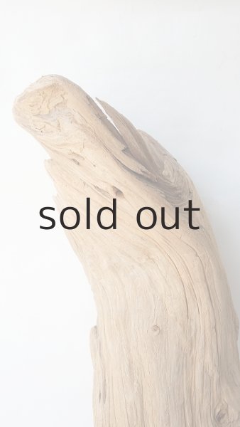 画像5: 大型　変形 (5)