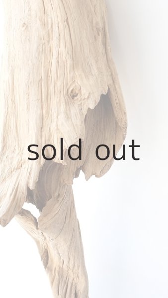 画像6: 大型　変形 (6)