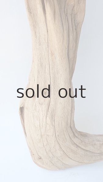 画像3: 大型　変形 (3)