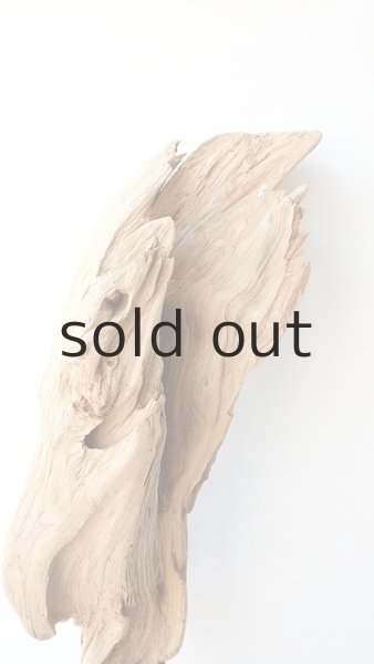 画像7: 大型　変形 (7)